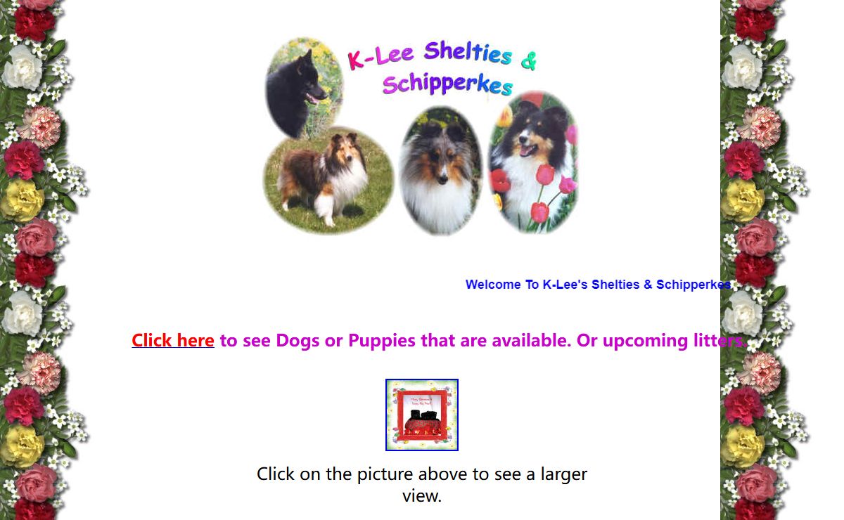 K-Lee Shelties & Schipperkes