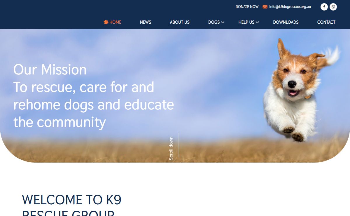 K9 Dog Rescue Group | Established not-for-profit caring for dogs in need