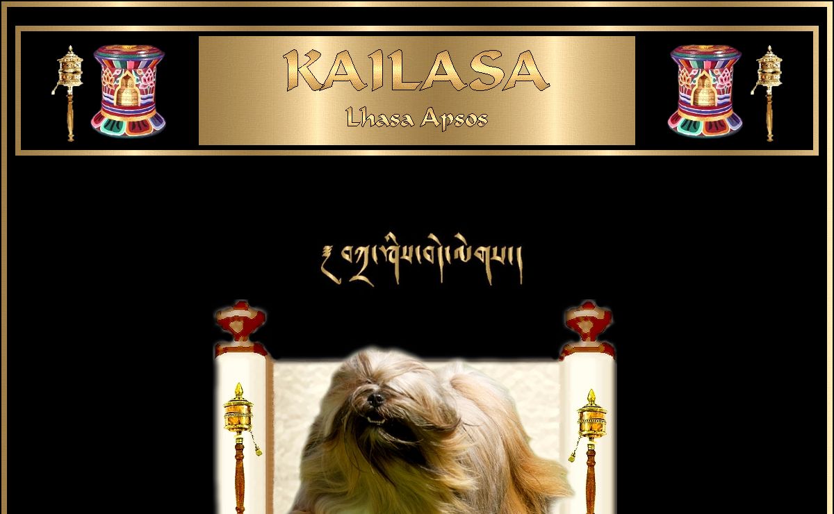 Lhasa_Apsos.html