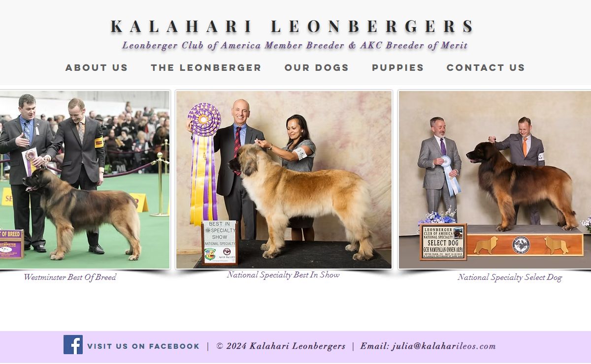 Kalahari Leonbergers | Leonberger breeder | Dallas, TX, USA