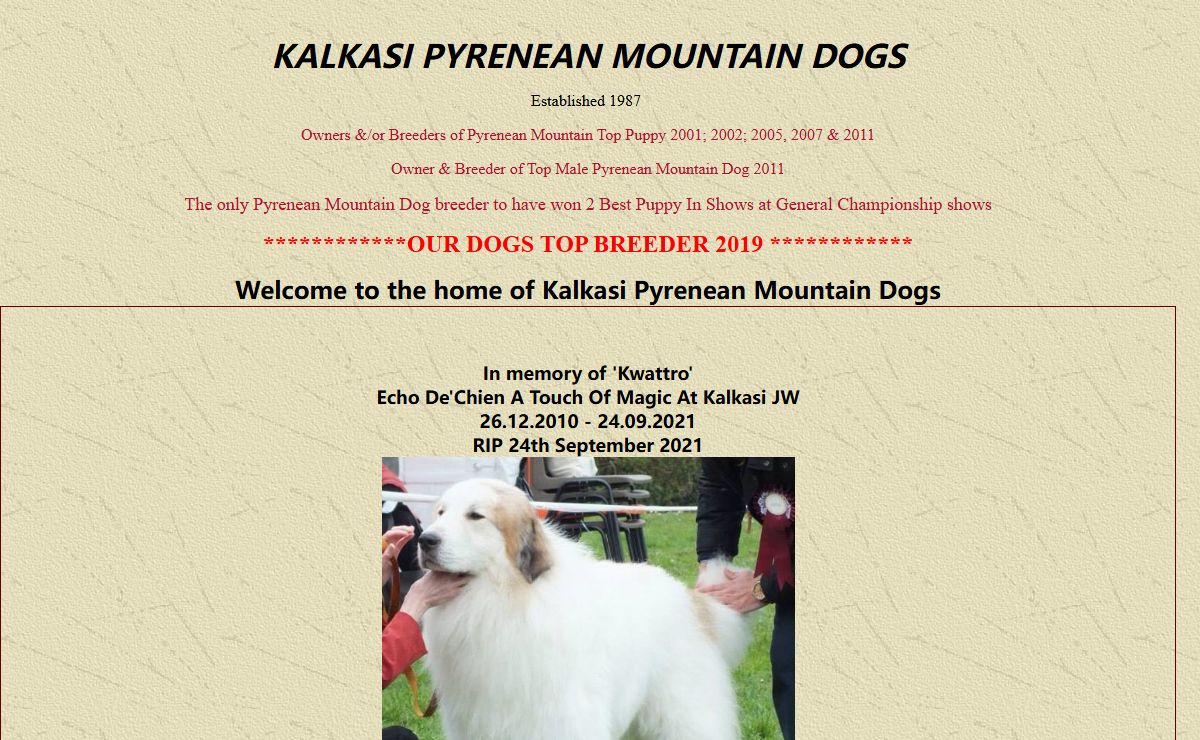 Kalkasi Pyrenean Mountain Dogs
