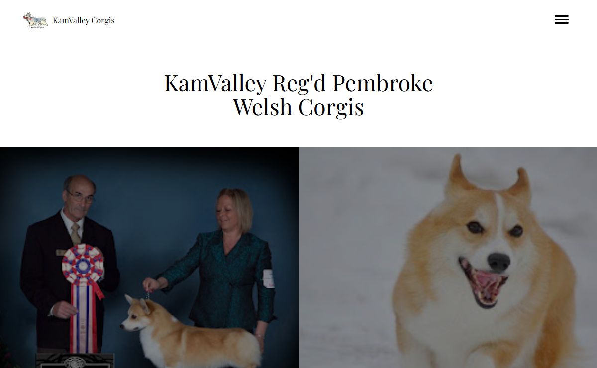 KamValley Corgis
