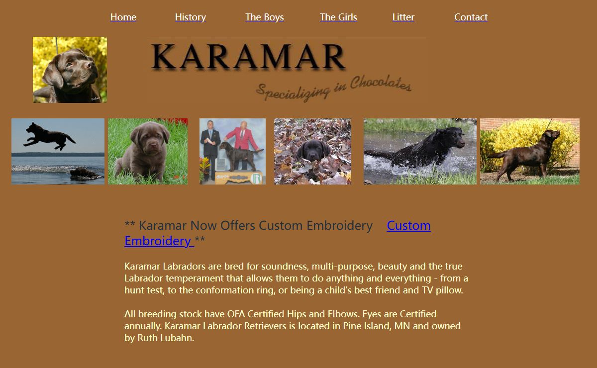 Karamar Labrador Retrievers - Pine Island, MN. Breeder of English style chocolate Labradors