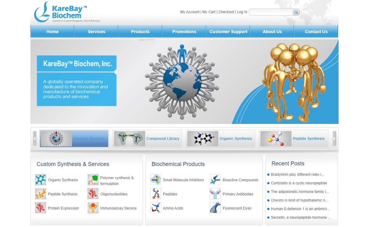 Peptide Synthesis, Gene Synthesis, Antibody Production | Karebay