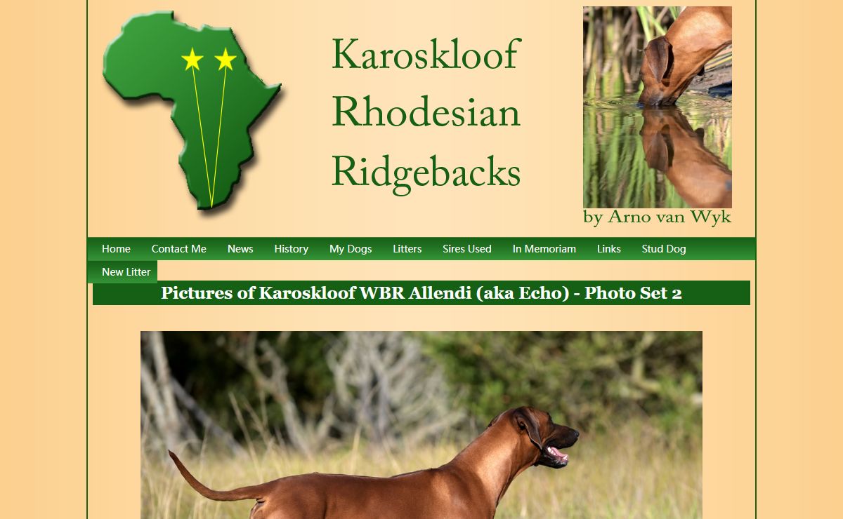 Karoskloof Rhodesian Ridgebacks