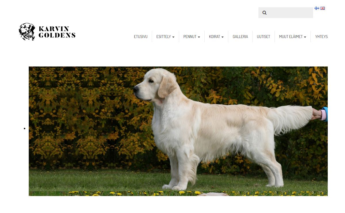 Karvin goldens :: fi