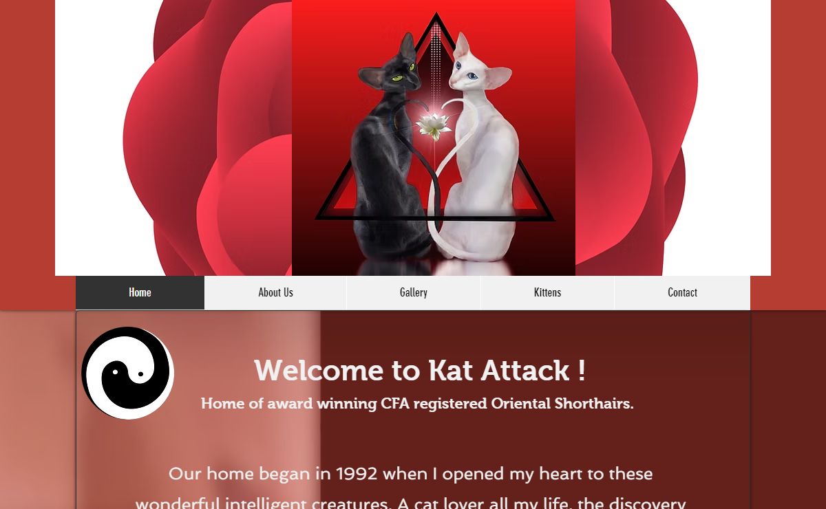 Home | Kat Attack