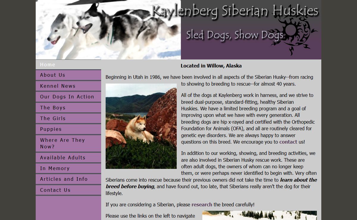 Kaylenberg Siberian Huskies, Willow Alaska
