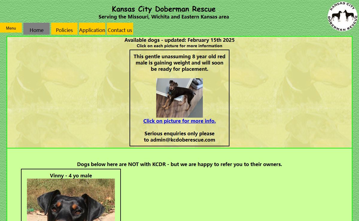 Doberman Rescue - Available Dogs - Kansas City