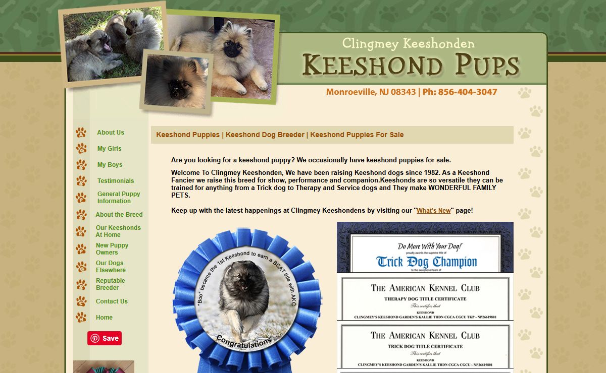 Clingmey Keeshonden puppies for sale. Keeshond Family Breeder in New Jersey