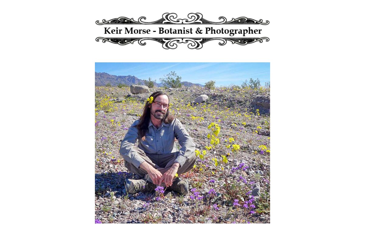 Keir Morse - Botanist & Photographer