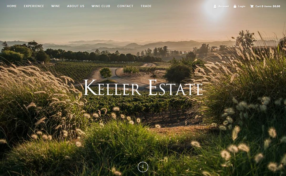 Discover the Hidden Gem: Exploring the Winery in Petaluma
