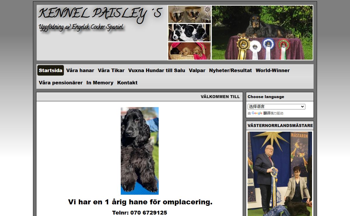 KENNEL PAISLEY´S