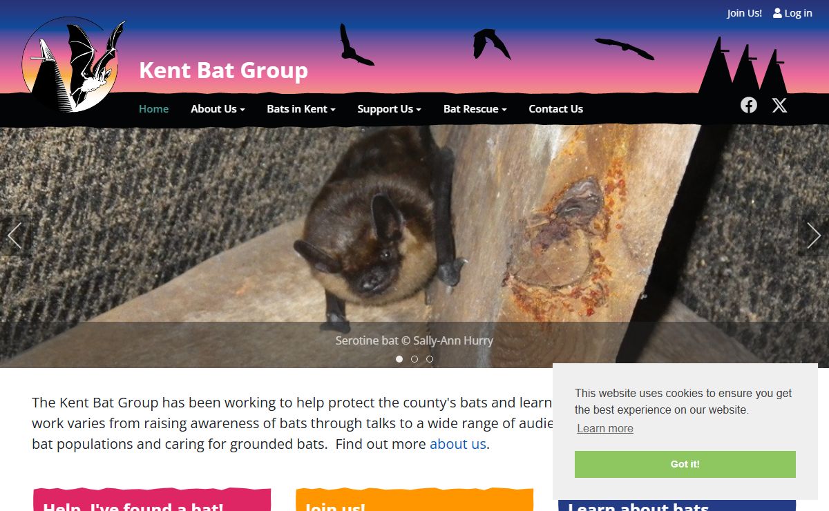 Home - Kent Bat Group