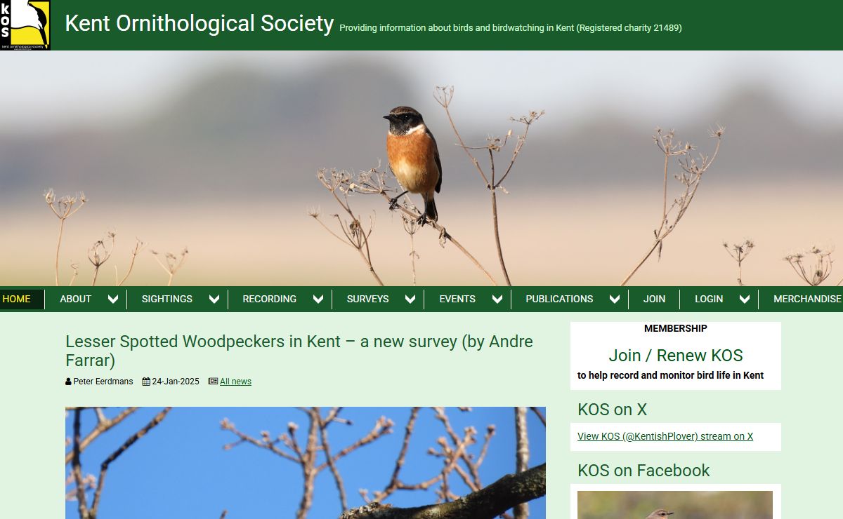 Kent Ornithological Society - Home