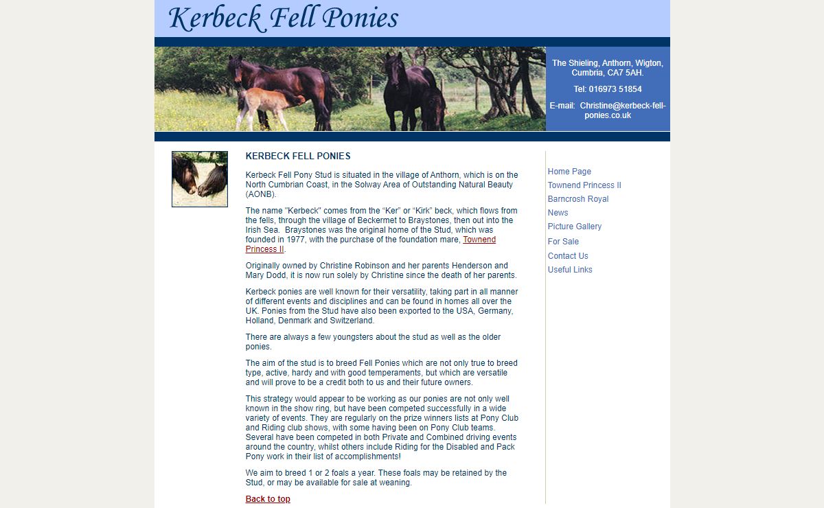 Kerbeck Fell Ponies