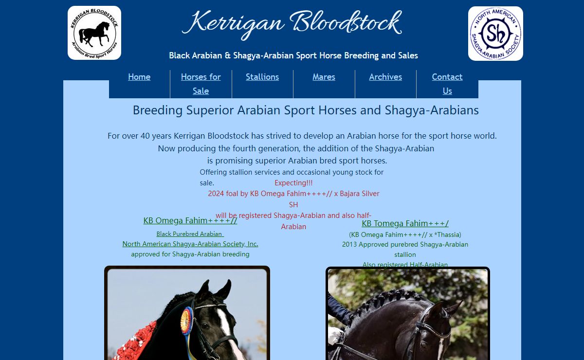 Kerrigan Bloodstock - Black Arabian & Shagya-arabian Sport Horse Breeding, Black Arabian & Shagya-arabian Sport Horse Sales
