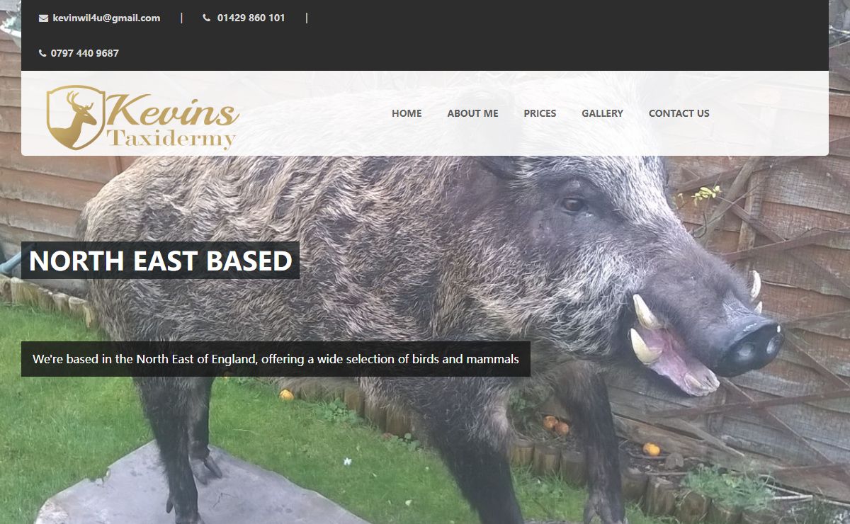 Kevins Taxidermy