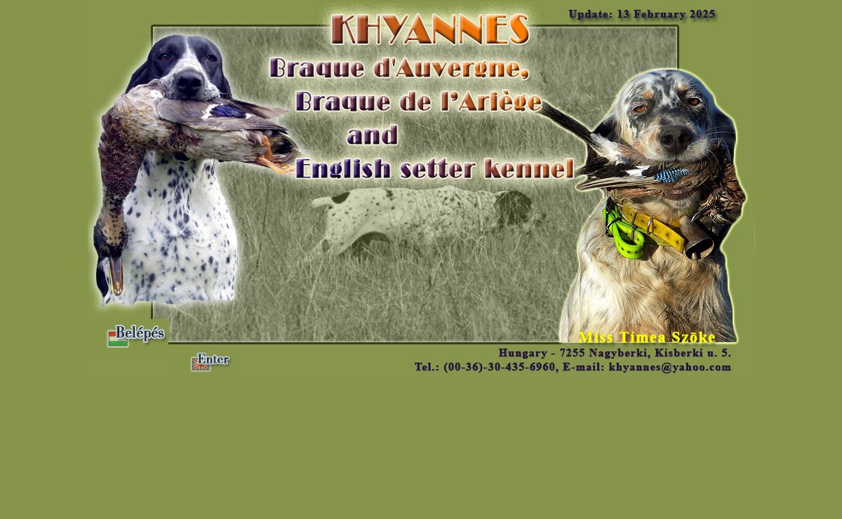 Khyannes English Setter and Braque D'Auvergne Kennel
