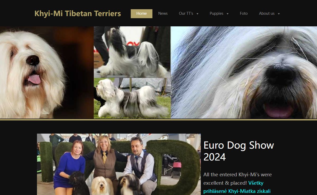 Khyi-Mi Tibetan Terriers