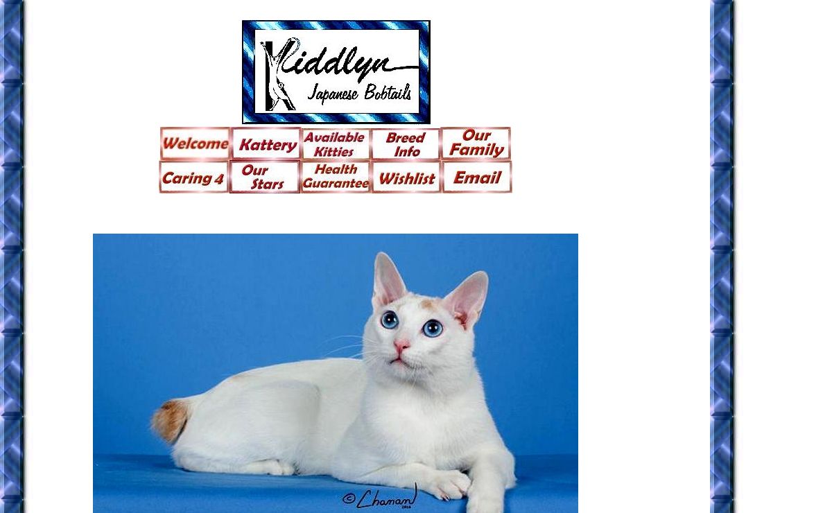 The Japanese Bobtail Website