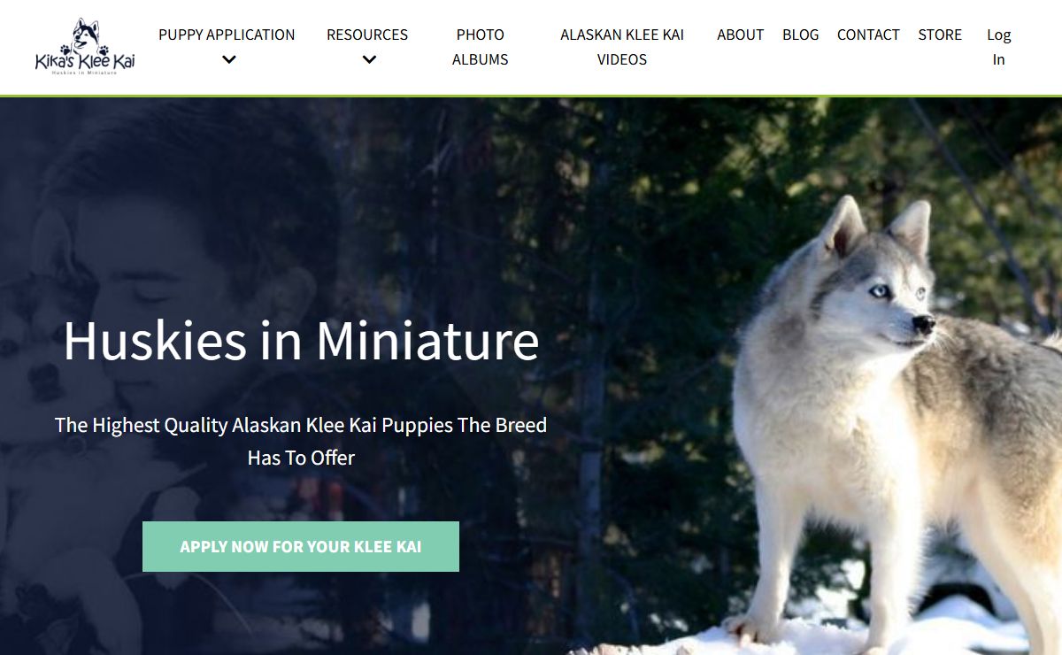 Kika's Klee Kai - The Alaskan Klee Kai