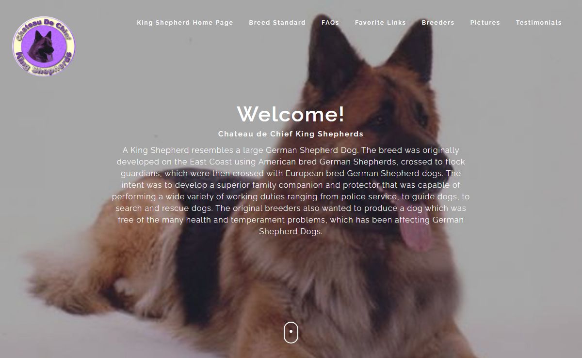 King Shepherd