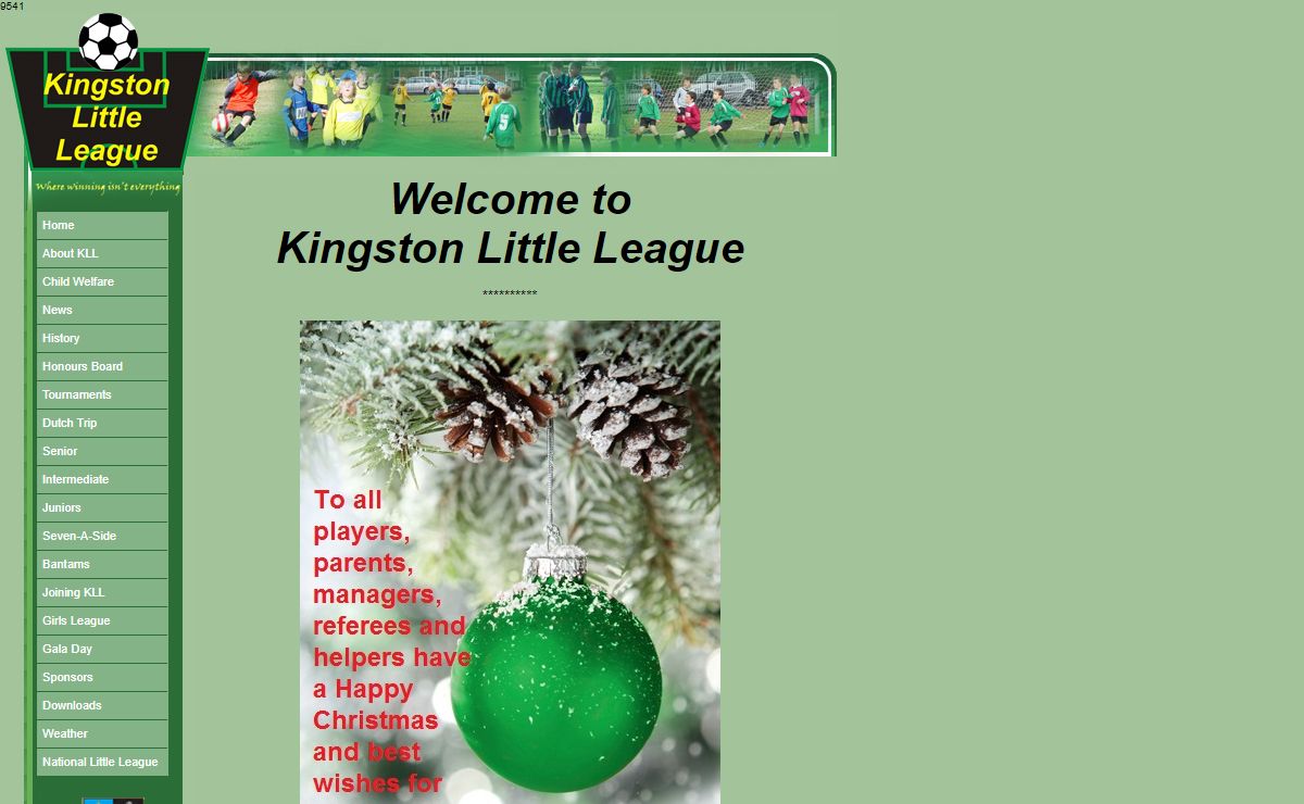 Welcome to Kingston Little League