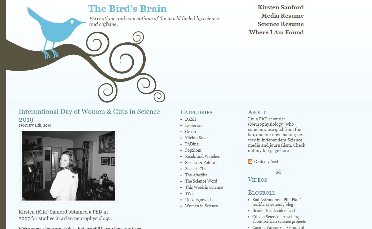 The Bird’s Brain