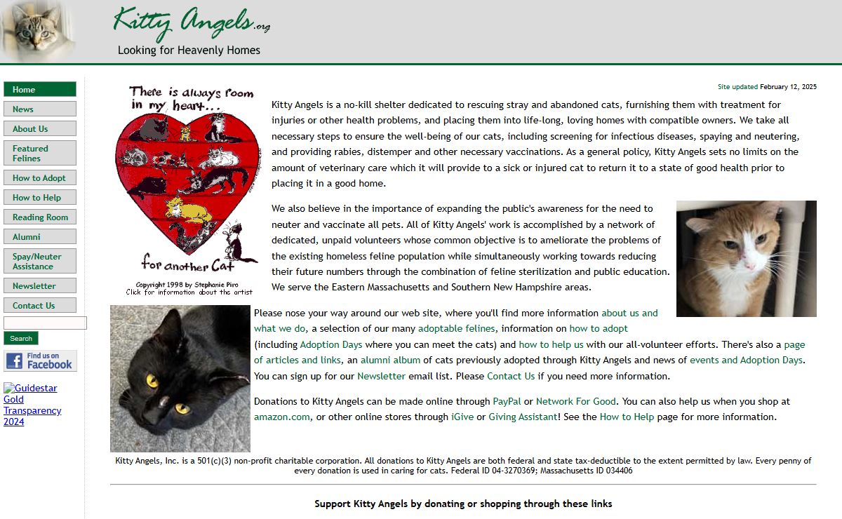 Kitty Angels - No-kill cat shelter for NH and MA