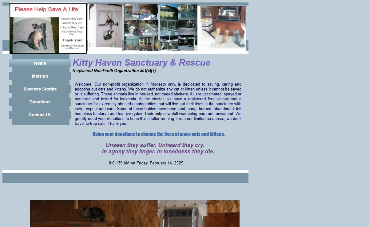 Kitty Haven Modesto