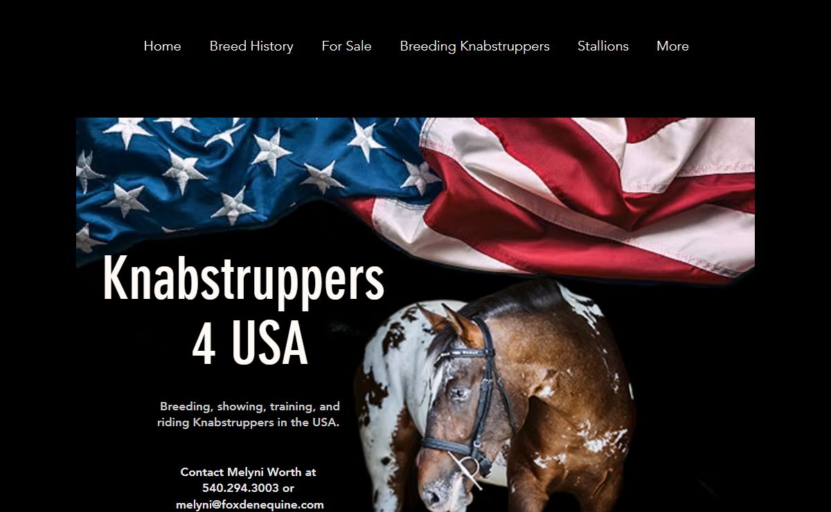 Knabstrupper breeder | Knabstruppers4usa