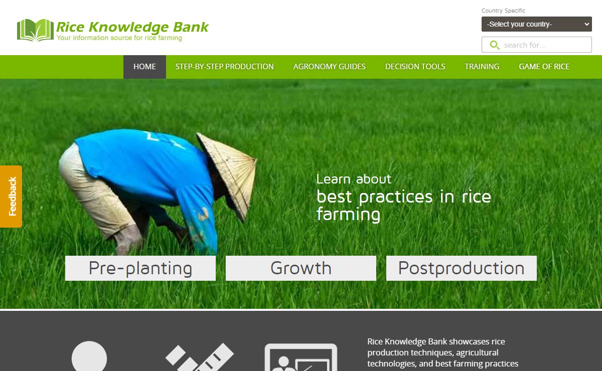 Home - IRRI Rice Knowledge Bank