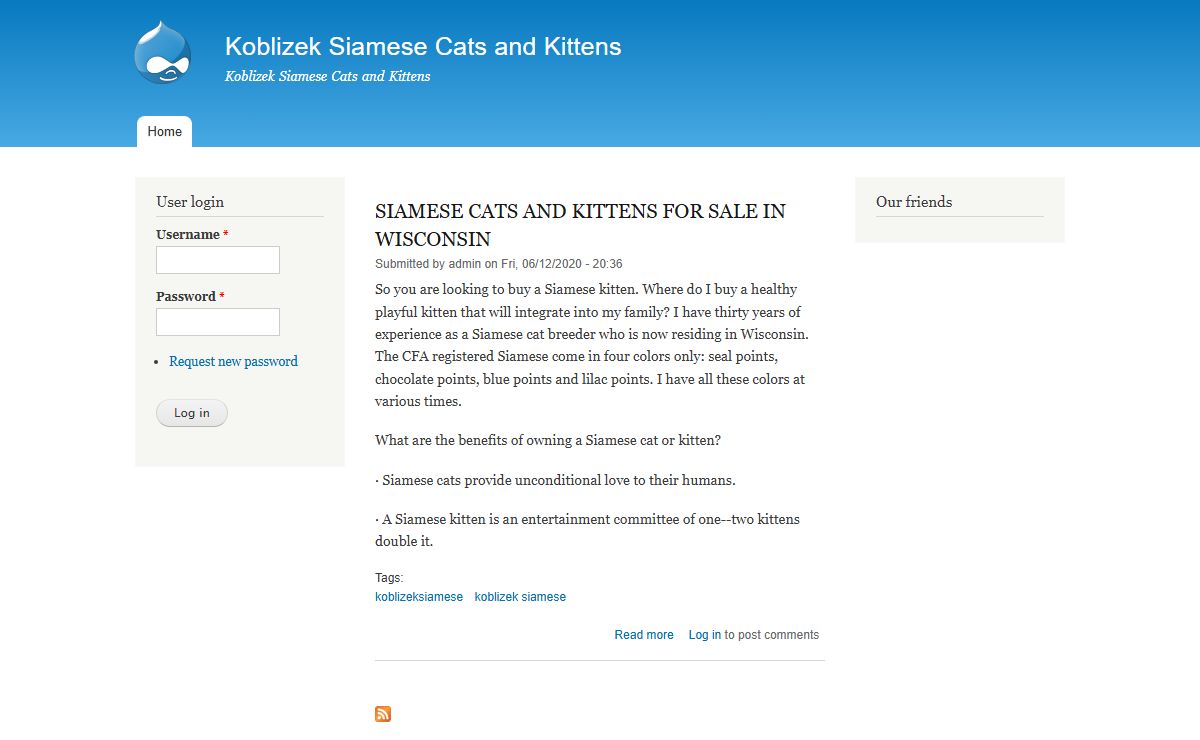 Koblizek Siamese Cats and Kittens | Koblizek Siamese Cats and Kittens