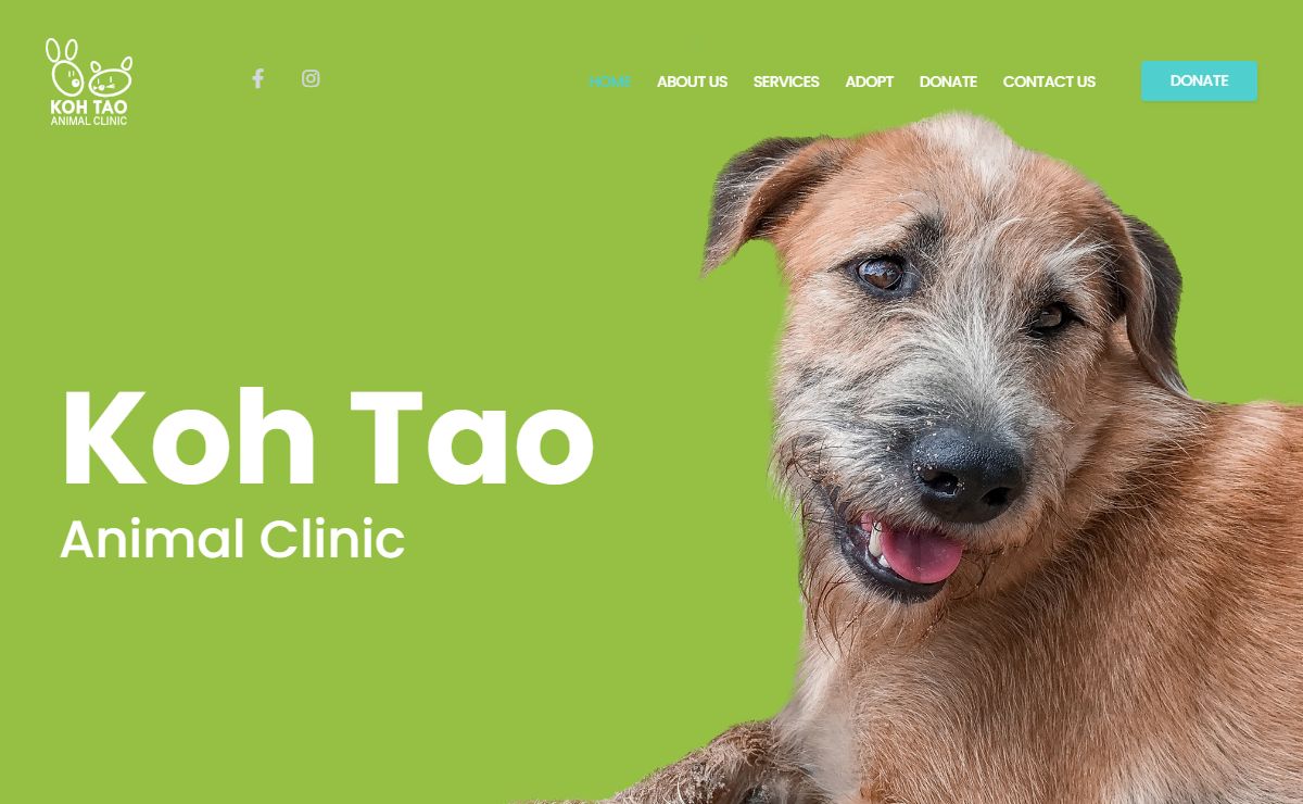 Koh Tao Animal Clinic - Home