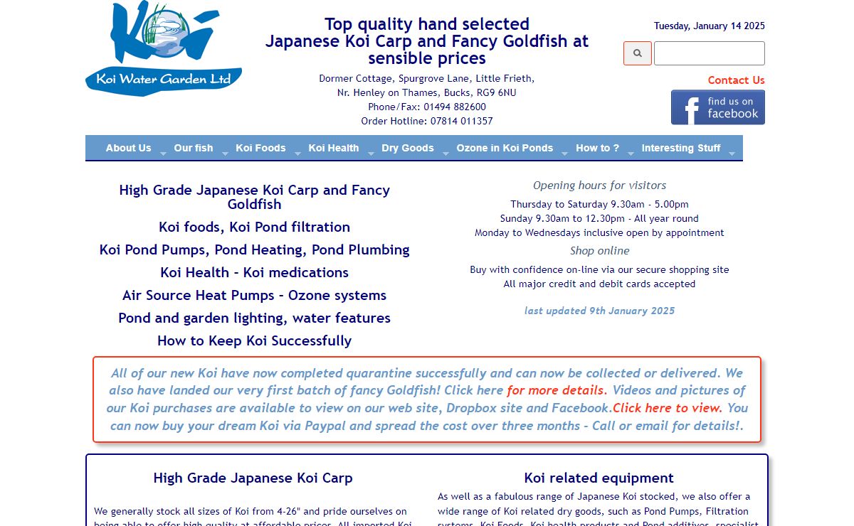 Top quality Japanese Koi Carp at sensible prices
