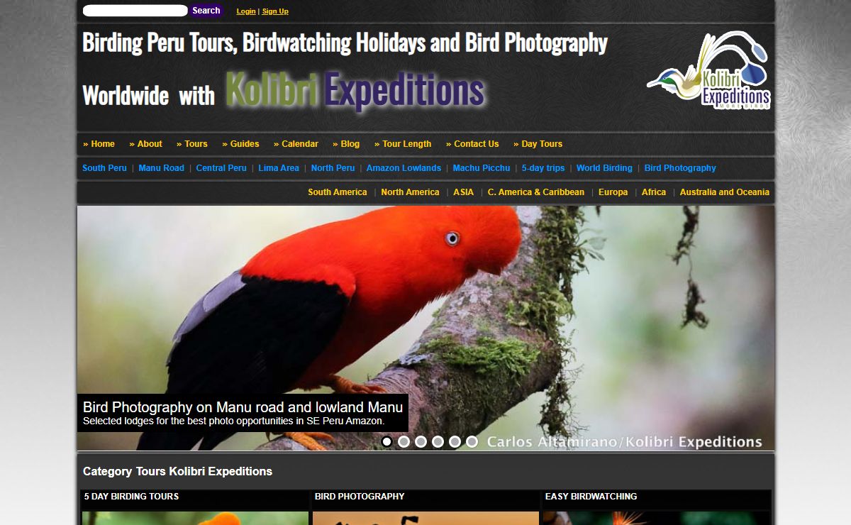 Birding Peru - Birdwatching Tours and Bird Photography