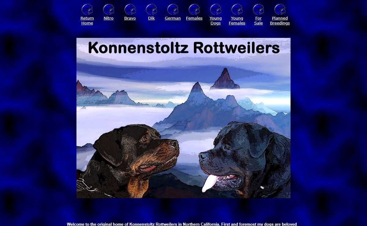 Konnenstoltz Rottweilers striving to produce the Ultimate Rottweiler.