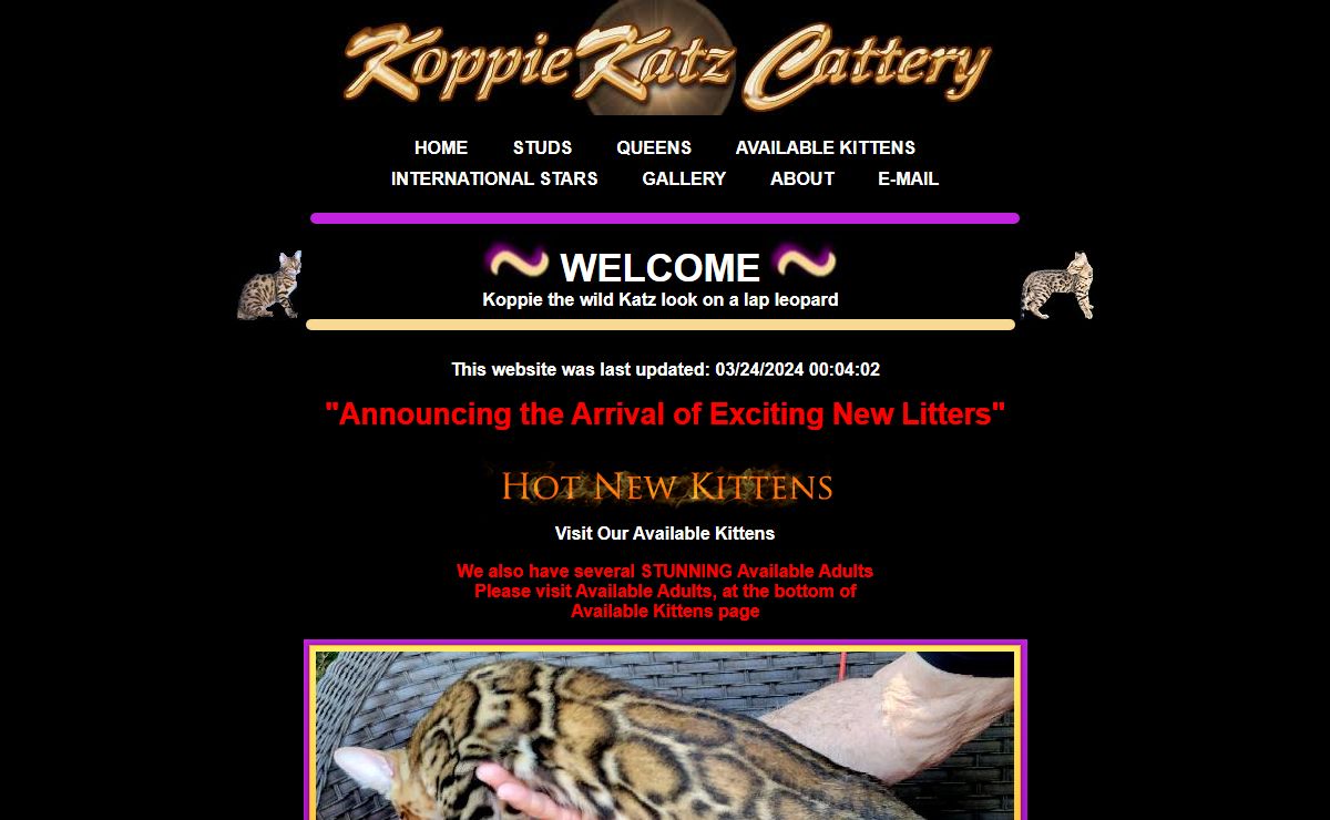 KoppieKatz Bengal Kittens, World Class Show Cats