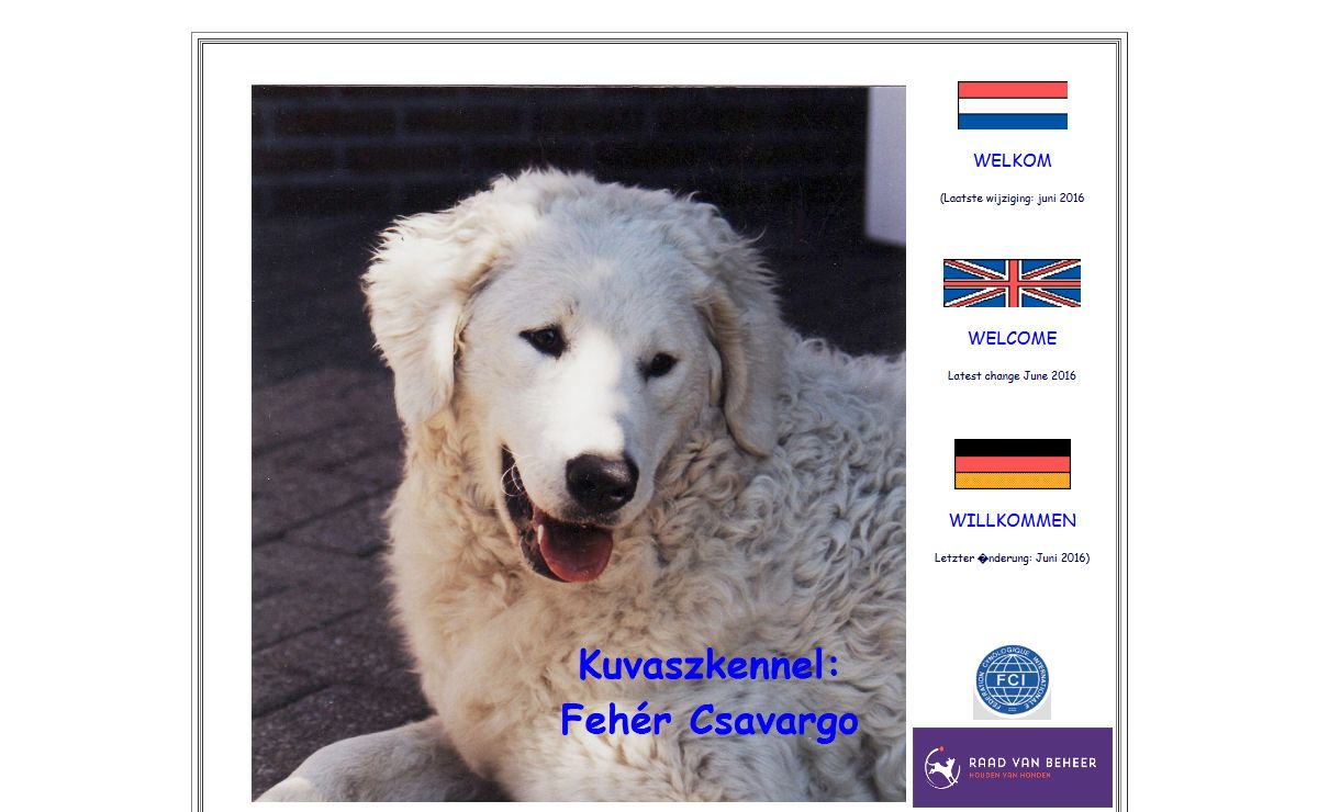 Kuvasz Feh�r Csavargo