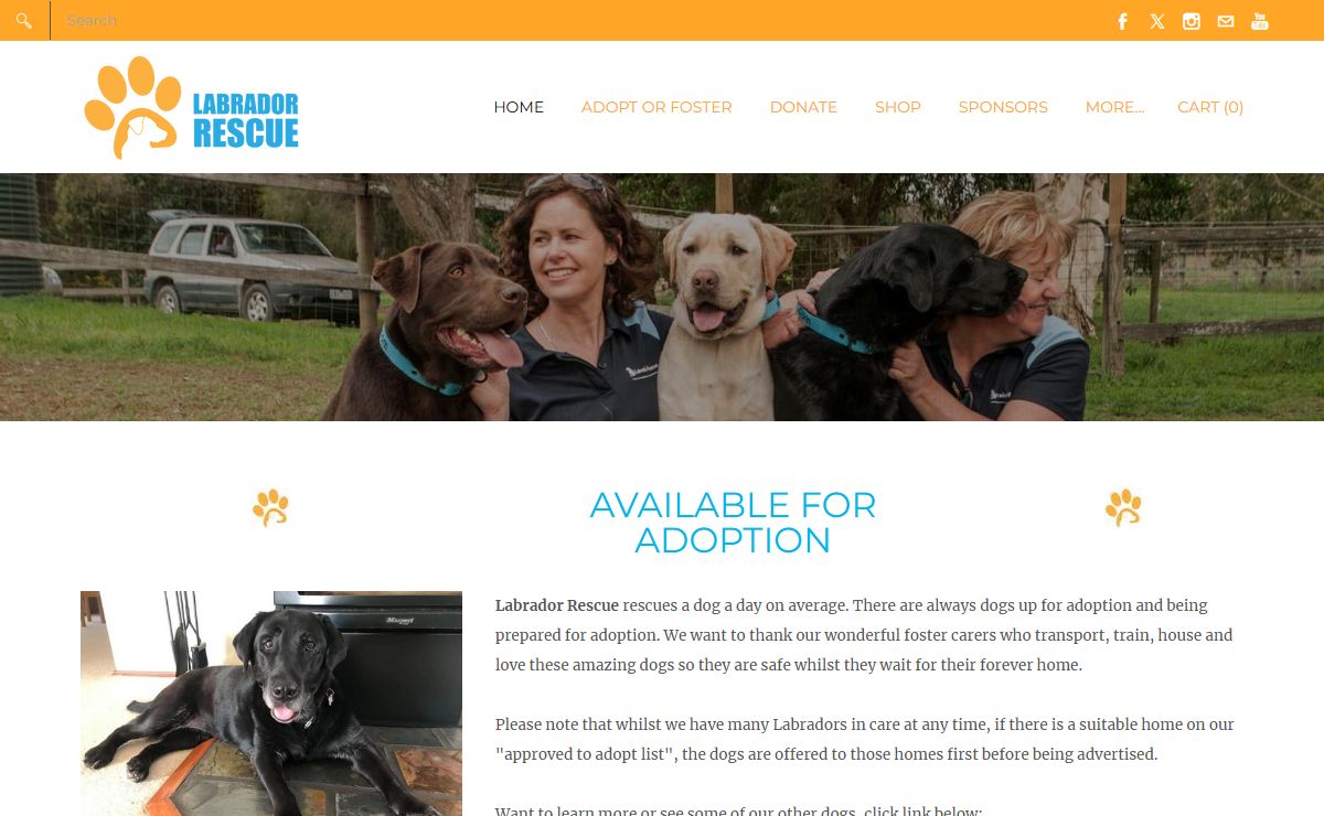 Labrador Rescue Australia - Home Page | Labrador Rescue Australia