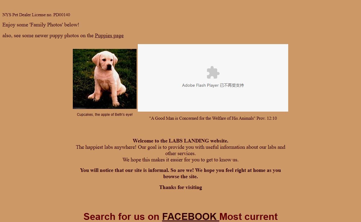 Labs Landing: the happiest labs anywhere