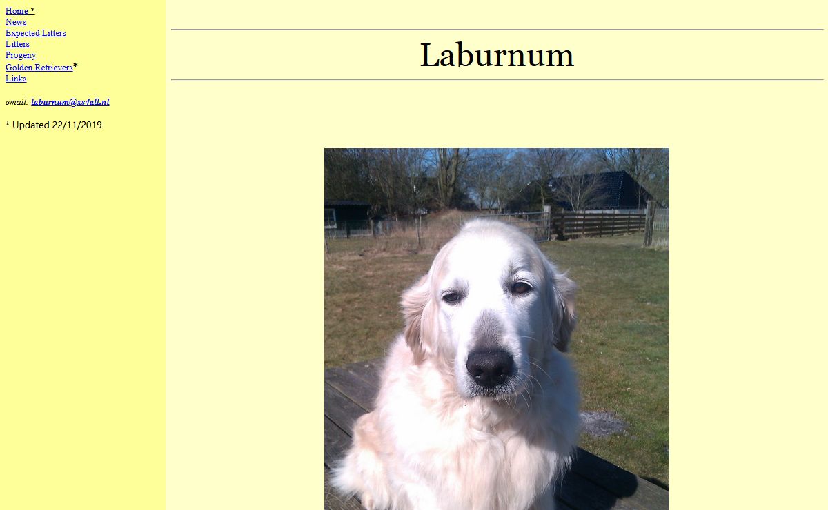 Laburnum Golden Retrievers & English Springer Spaniels