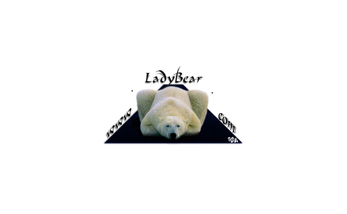 Welcome To LadyBears Somalis cats and other net fun stuff