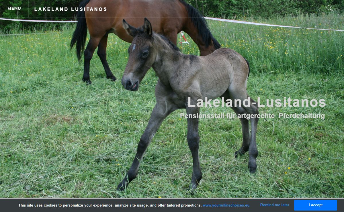 LAKELAND LUSITANOS - Home