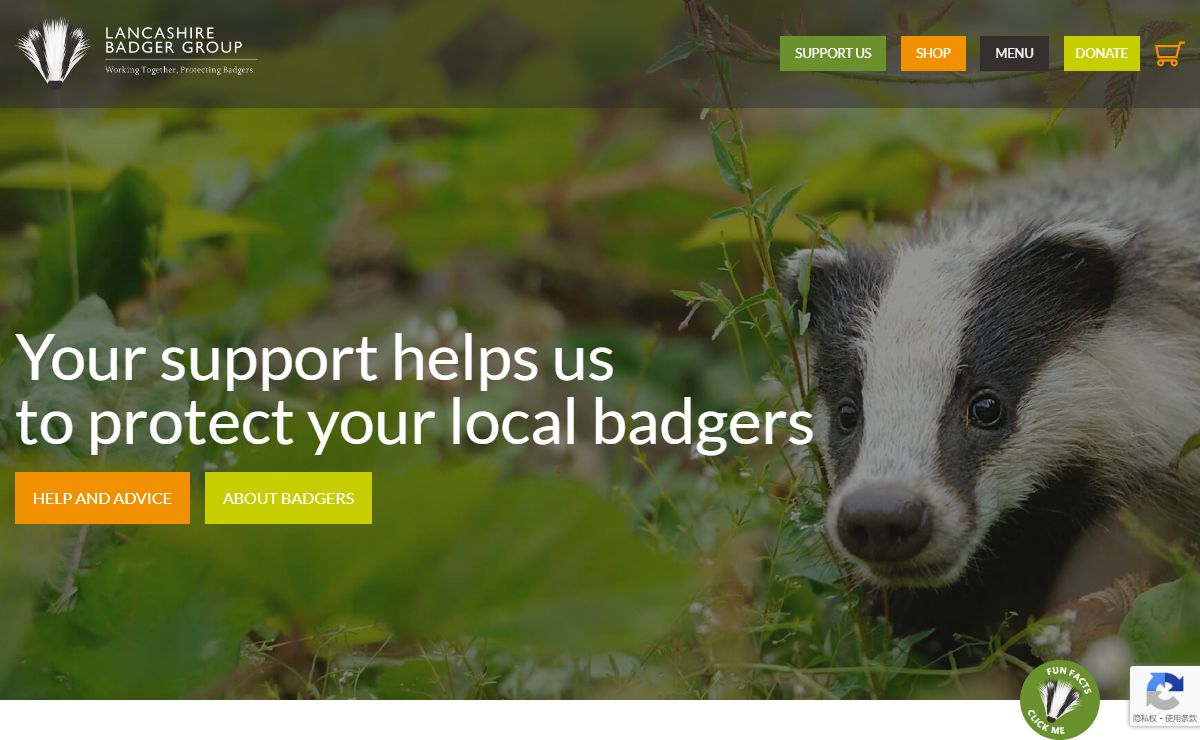 Home - Lancashire Badger Group