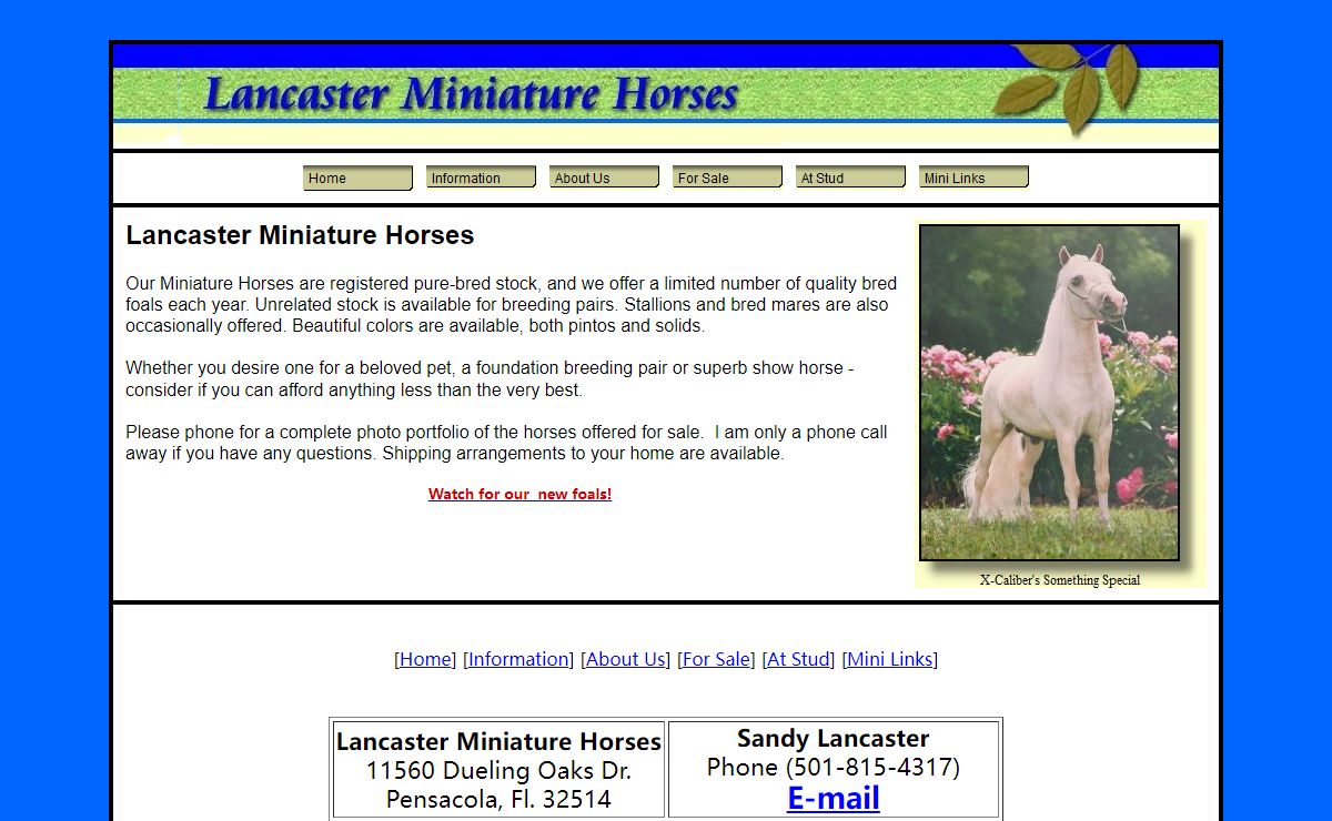 Lancaster Miniture Horse Farm