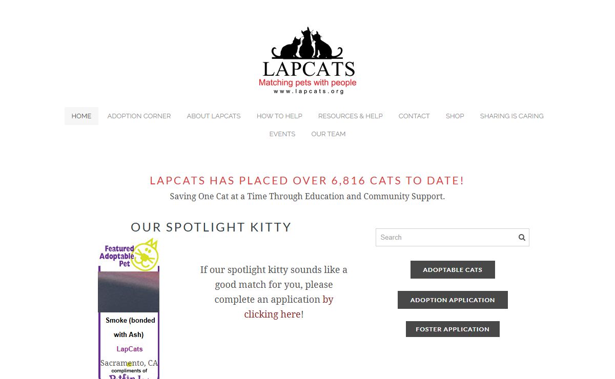 Lapcats | Saving One Cat at a Time Through Education and Community Support