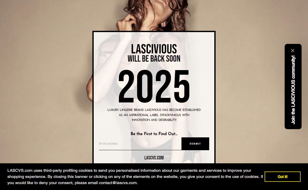 Active Luxe Lingerie By LASCVS