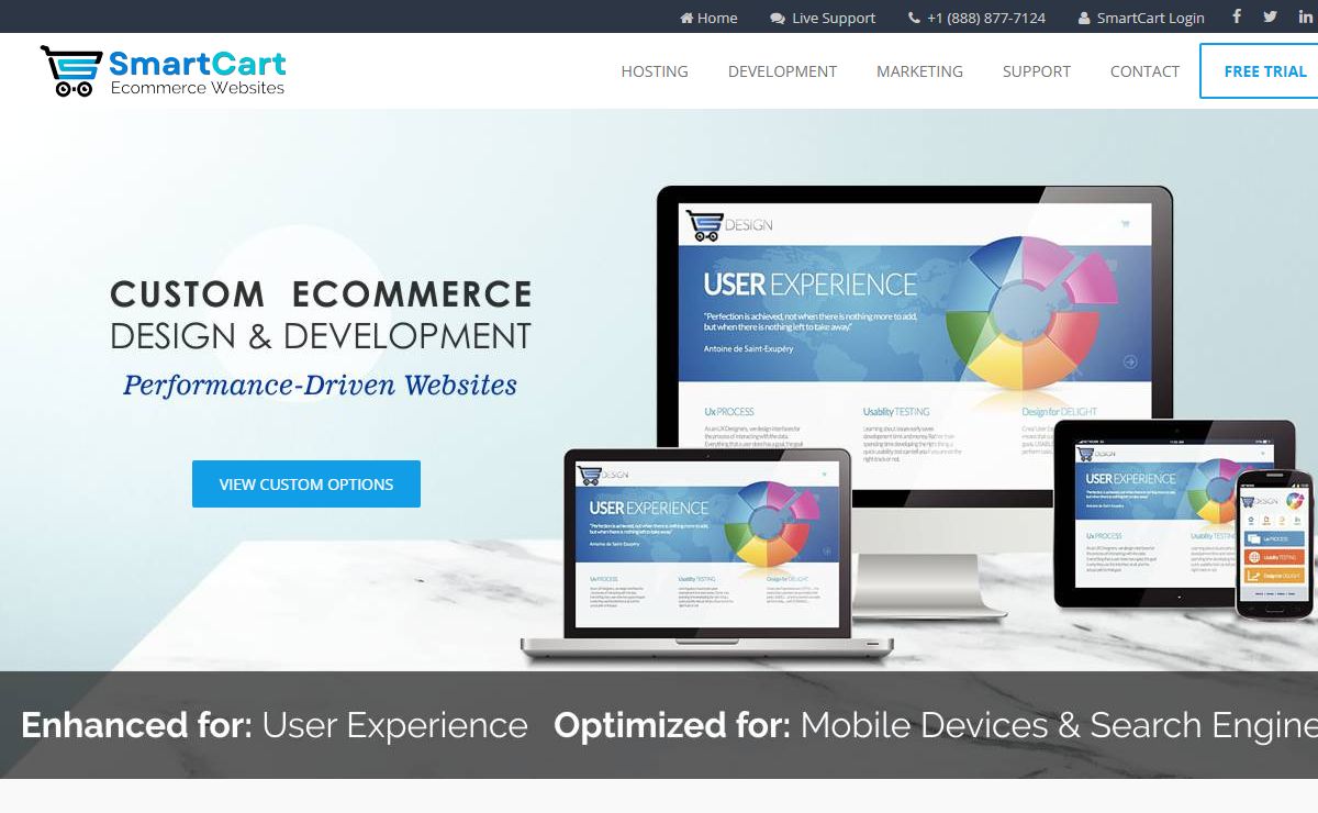 Ecommerce Hosting, Website Design, and Digital Marketing Services for Growing Online Businesses